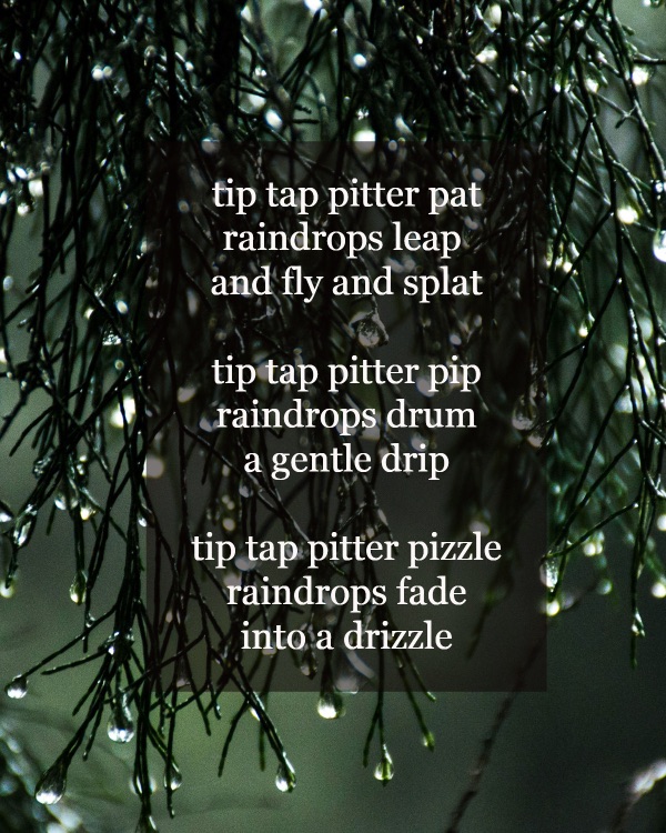 What is your go-to activity when it rains? 🌧️ ☂️ ☔ ⛈️
