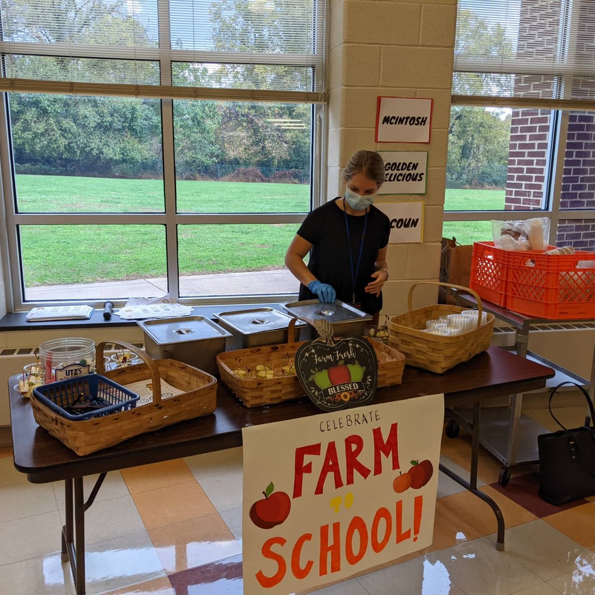 Danielle Clark tweet media