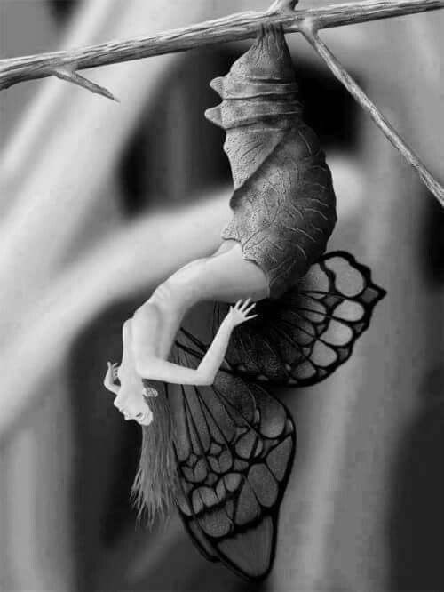 Cristina CR tweet media