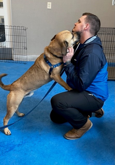 EdReillySubaru's tweet photo. Last Friday we celebrated #MakeADogsDays with a visit to Pope Memorial SPCA of Concord Merrimack County! 🐶 Will we see you at our event on Sunday? 

Learn more at https://t.co/o7elzVXNn2 https://t.co/IhnzDSAwa0