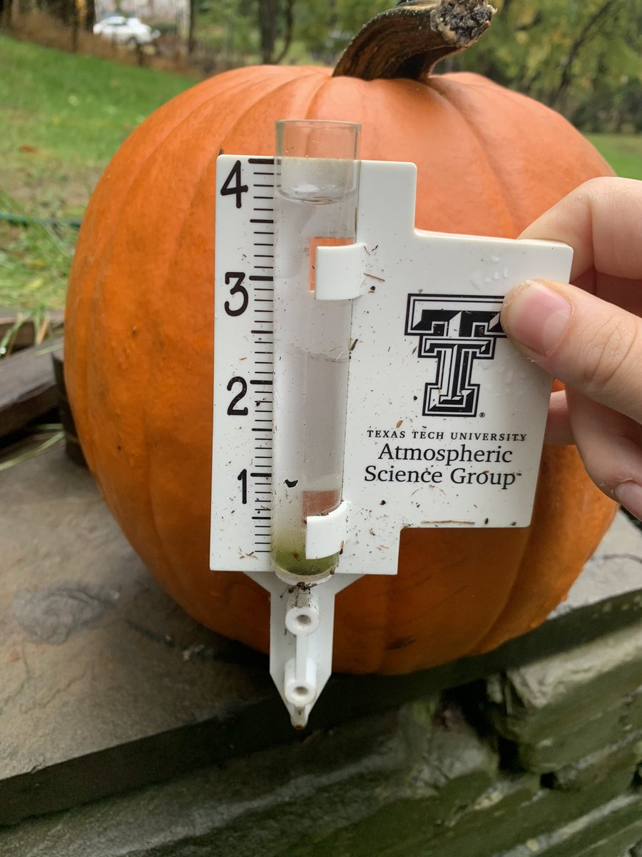 metznerwx's tweet photo. Resetting my rain gauge and decided to stick it in the pumpkin to be festive. Rainfall started with thunderstorms last night ~9:30pm and stopped ~1pm this afternoon. Total so far is 3.8 inches #nywx #weather #wx #Rainfall https://t.co/ARYGJyvO2C