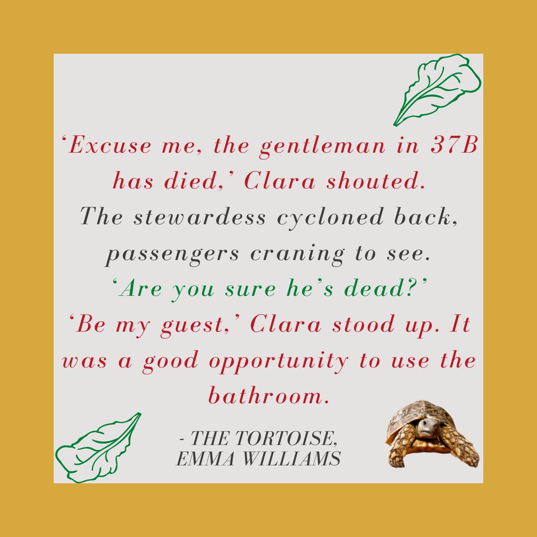 ‘Excuse me, the gentleman in 37B has died,’ Clara shouted.
The stewardess cycloned back, passengers craning to see. ‘Are you sure he’s dead?’
‘Be my guest,’ Clara stood up. 

My book #TheTortoise can be found on Amazon

#WomenSleuths #BritishDetective #BookTwitter #MustReadBooks