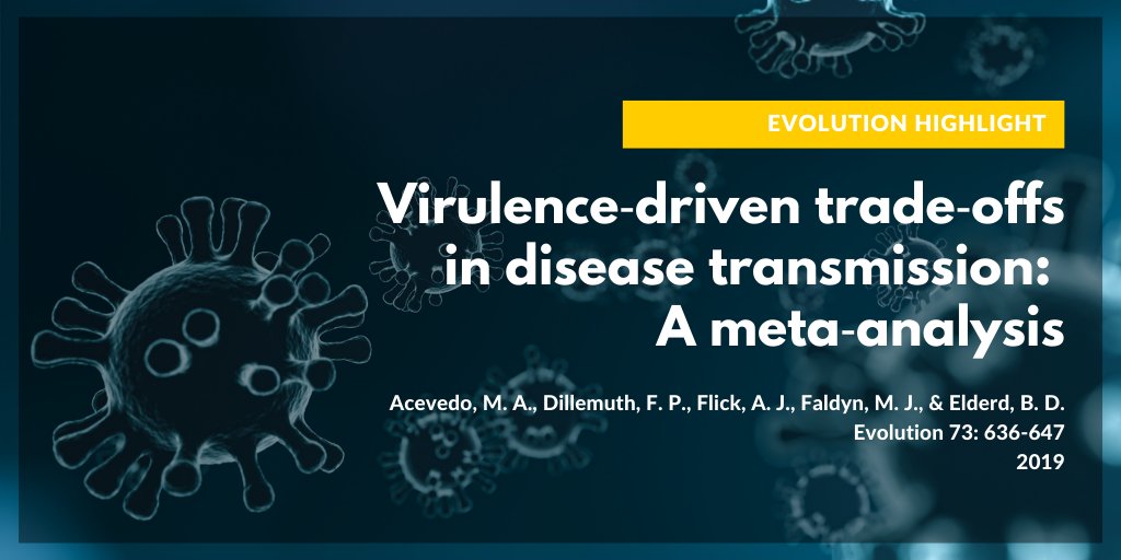 sse_evolution's tweet photo. In a recent #EvolutionHighlight, @miguelacevedopr tells the story behind his 2019 @journal_evo paper, "Virulence-driven trade offs in disease transmission: A meta-analysis." https://t.co/TYNooupp3y https://t.co/Aj1TsHXsMp