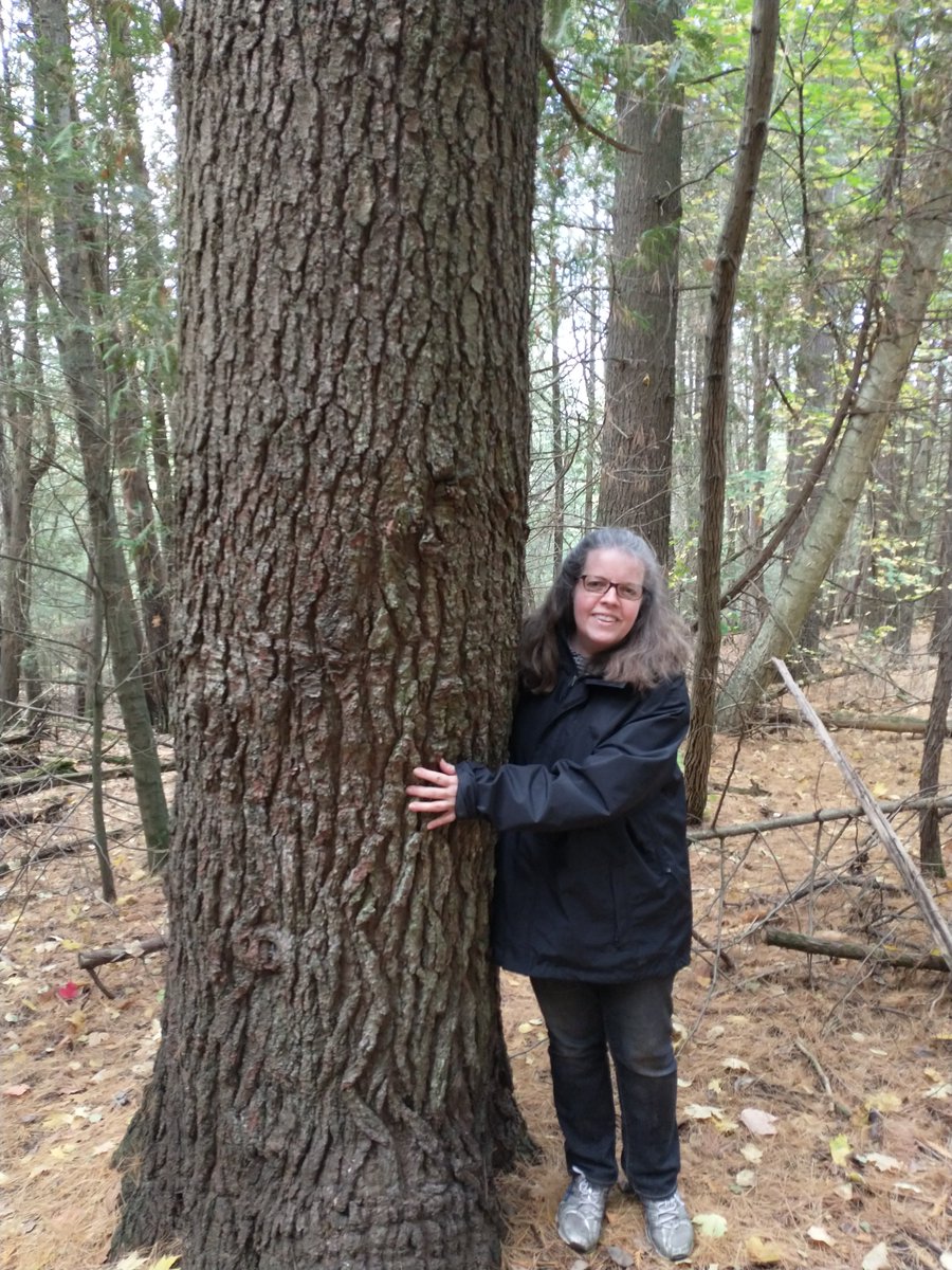 Kathleen_ff's tweet photo. @leaf @opg Recently attended a workshop on the trees of the Oshawa Valley Valley Botanical Garden, covering the importance of trees fighting climate change. Trees like this oak are carbon vacuums, they help cool the air, and they help reduce flooding.  
#LEAFTreeTour https://t.co/nibKcbTo96