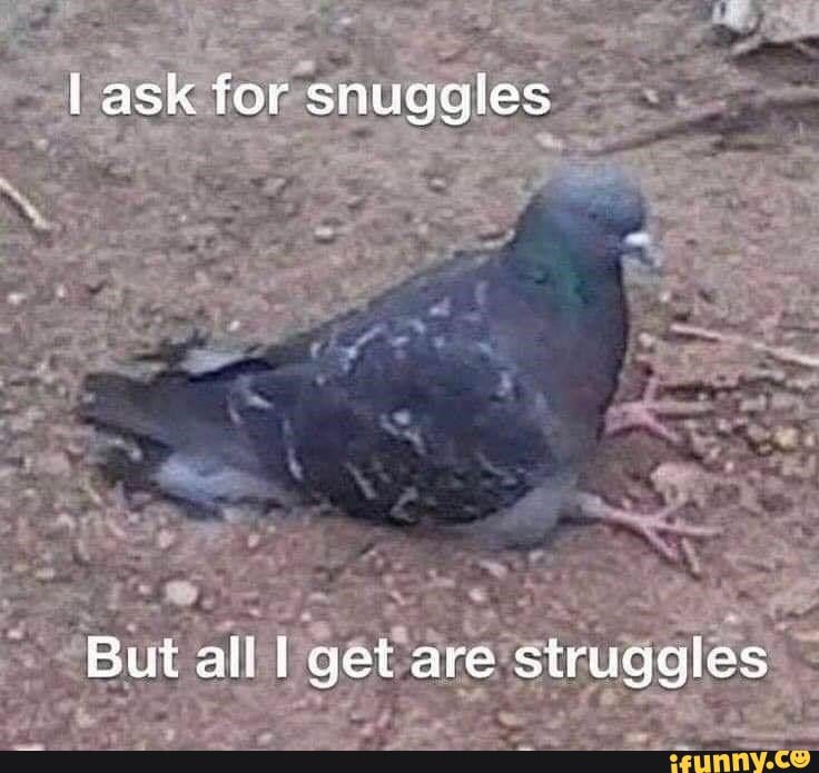 MariJuTweets's tweet photo. @monipersona I JUST LOGGED IN AND I AM BEING ATTACKED ALREADY WAH https://t.co/IhfXVPNTzY