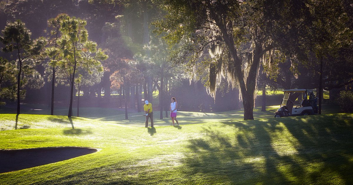 Innisbrook's tweet photo. Great golf only a chip shot away ⛳ 

#InnisbrookLife #Copperhead #FloridaGolf #TeeOffTuesday https://t.co/qbJMHlzvvN