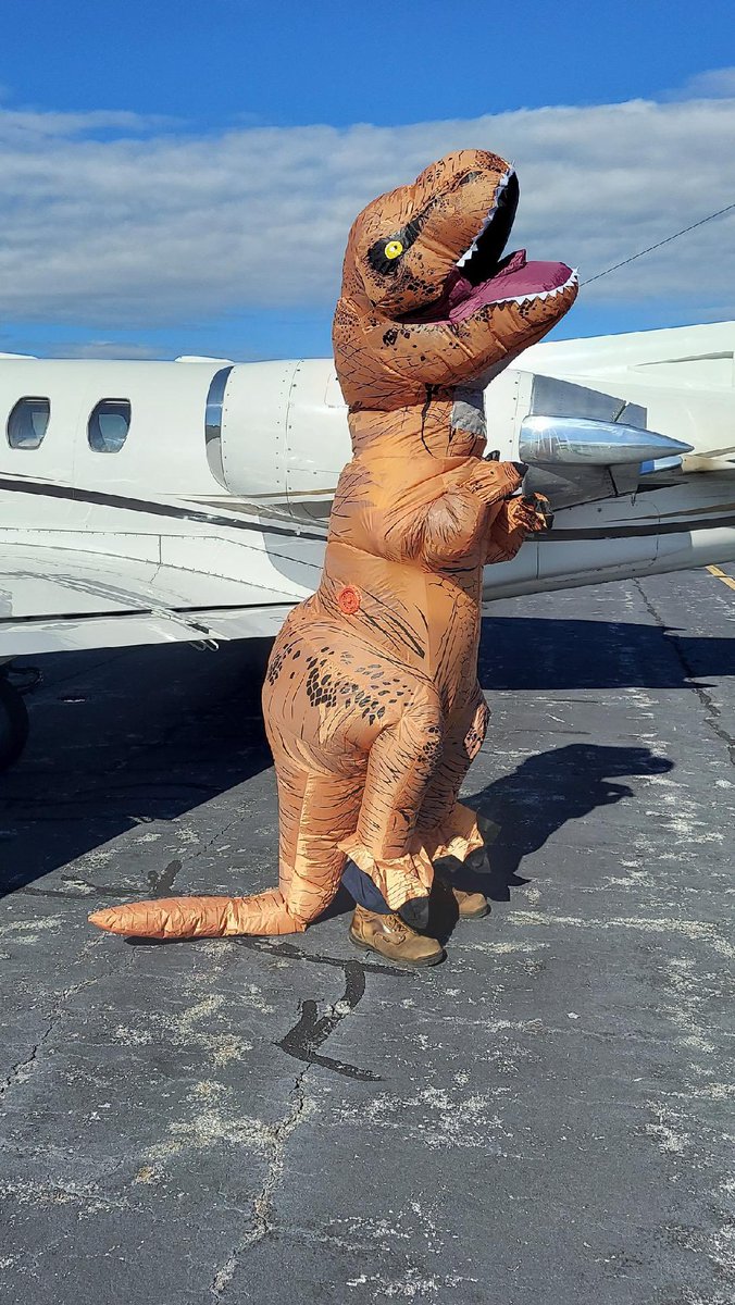 Dominion Aviation tweet media