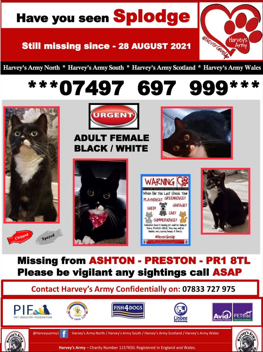 The_Animal_Team's tweet photo. #Splodge went #missing from #Ashton #Preston #PR1 area on 28/8/21. Please if you are in that area keep an eye out for her. Black/White #cat. Contact number on poster. #Cats #CatsOfTwitter #MissingCat #Lancs https://t.co/R3y4528Plw