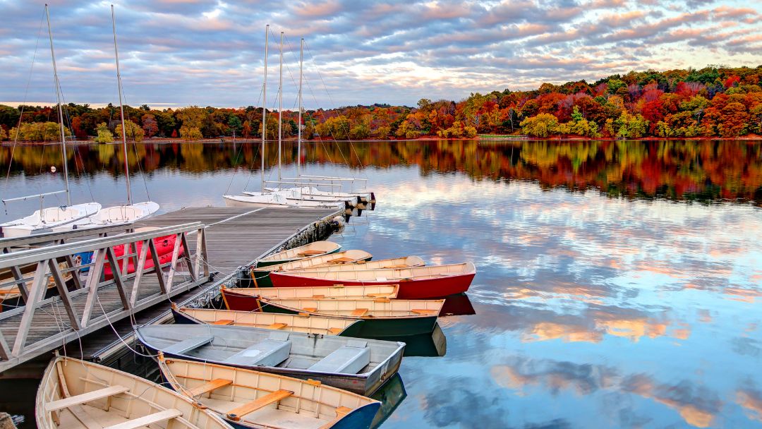 TheBoxerBoston's tweet image. Not all those who wander are lost...

📍: Jamaica Plain