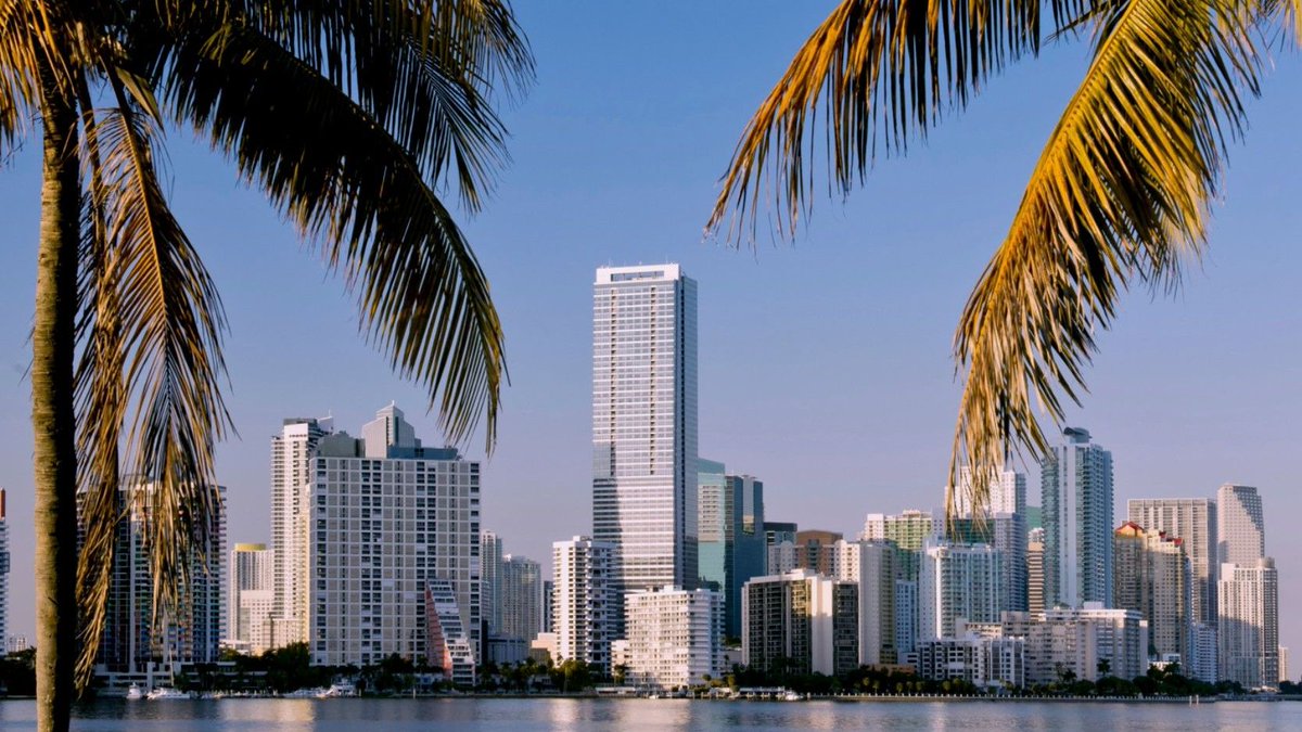 BlueMoonMiami tweet picture