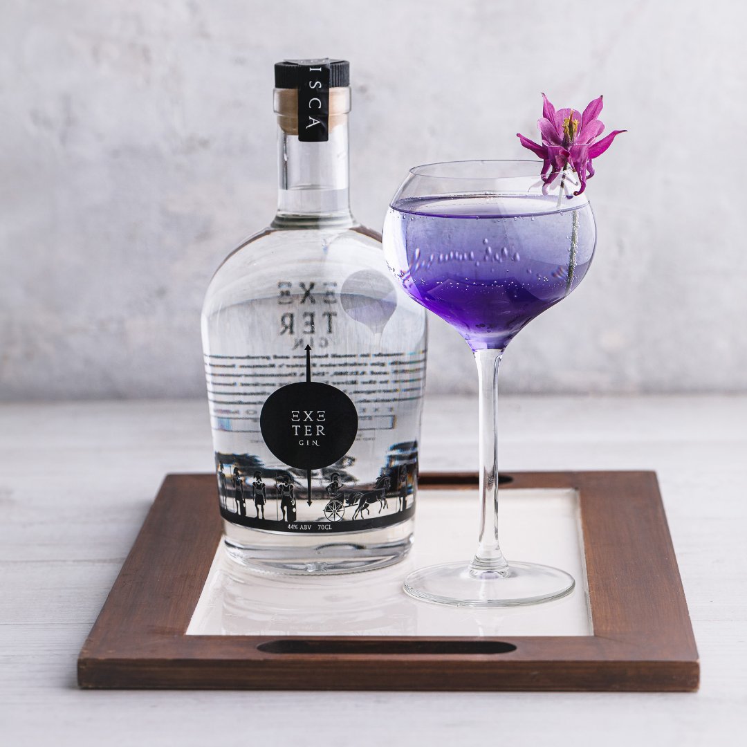 With the darker evenings setting in, light up your evening with a Midnight Sun Cocktail 🍸 Make it yourself: ecs.page.link/LMXhp 

#exetergin #gincocktails #midnightsun #exetergin  #britishgin #localgin #ginlovers #devongin #shoplocal #cocktailmixology #cocktails #mixology