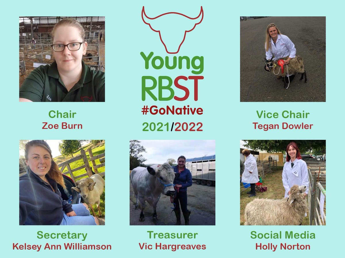 Time to meet the team! 🎉 Ten days ago we had our first AGM over Zoom, and roles were filled for the first time! 

Looking forward to seeing where the next year takes us! @rbstrarebreeds #rbst #youngrbst #rarebreeds #nativebreeds #meettheteam #meettheteam #gonative #forthefuture