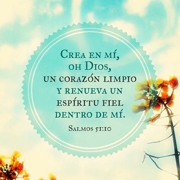 Siddonid Bardellini (@siddonid_bardel) on Twitter photo 