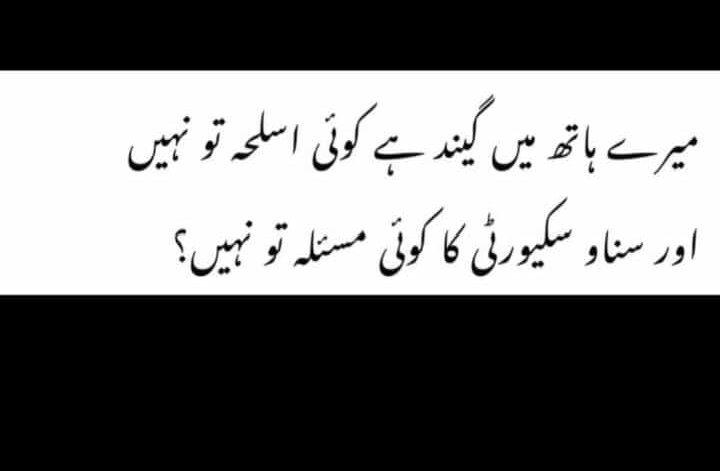 SidraKainat's tweet image. #SecurityIssuesSorted #PAKvNZ 😌🔥