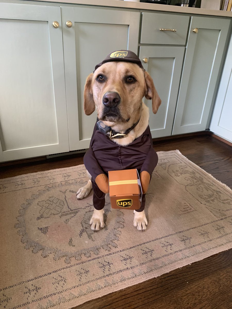 KaraEarth's tweet photo. Days before getting this thoughtful package, I had ordered Maggie a Halloween costume. A @ups costume so that she could match her heroes. Only one problem- we seem to never be home when our drivers stop by! I want to surprise them with her outfit. Help me out @ups! @Upworthy https://t.co/5ahbrJqWfr