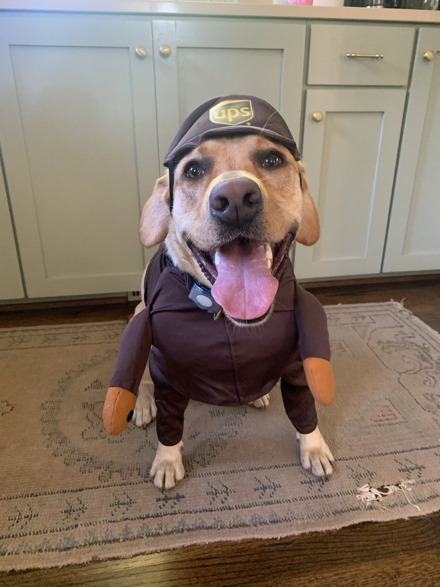 KaraEarth's tweet photo. Days before getting this thoughtful package, I had ordered Maggie a Halloween costume. A @ups costume so that she could match her heroes. Only one problem- we seem to never be home when our drivers stop by! I want to surprise them with her outfit. Help me out @ups! @Upworthy https://t.co/5ahbrJqWfr
