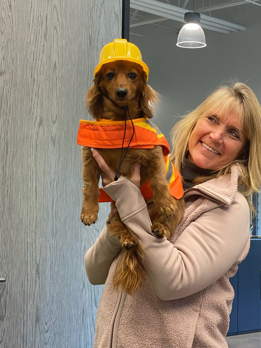 Timco_Const's tweet image. Rudy and Marlo are ready for Halloween!  And maybe to start helping out in the field... If anyone needs a doggy handyman, let us know!