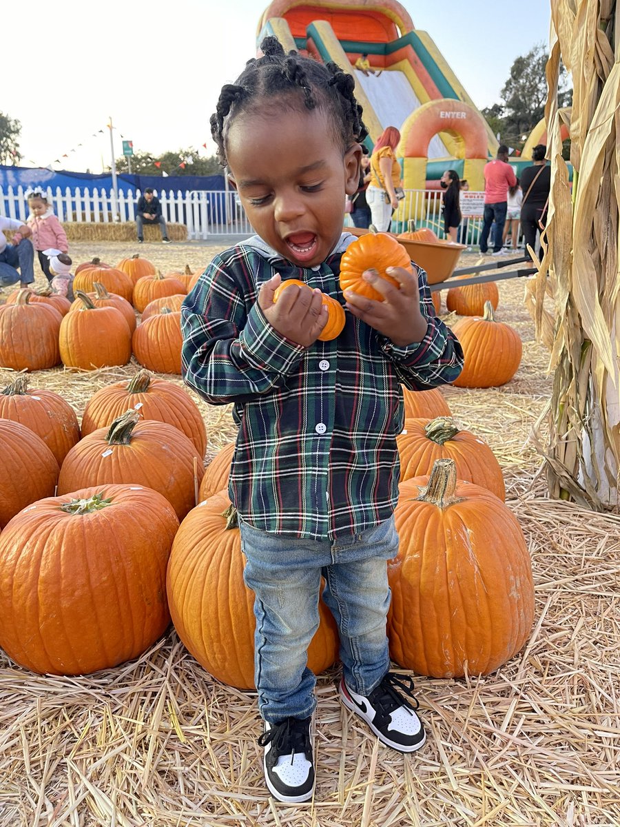 SDXMEGACENTER (@sdxcalilove) on Twitter photo Happy #NationalPumpkinDay from some of our MegaCenter little pumpkins 🎃👻🧡 <a href="/SDXcalilove/">SDXMEGACENTER</a> @GarciaBeProud <a href="/griselg72/">Griselda</a> <a href="/asilah_love/">Asilah Love</a> <a href="/caliculture619/">Tustin Culture Council (formerly San Diego)</a> <a href="/beautybytraloni/">LALA MILLER-DAVIS</a> #gwr #CulturallyGarcia Happy #NationalPumpkinDay from some of our MegaCenter little pumpkins 🎃👻🧡 <a href="/SDXcalilove/">SDXMEGACENTER</a> @GarciaBeProud <a href="/griselg72/">Griselda</a> <a href="/asilah_love/">Asilah Love</a> <a href="/caliculture619/">Tustin Culture Council (formerly San Diego)</a> <a href="/beautybytraloni/">LALA MILLER-DAVIS</a> #gwr #CulturallyGarcia