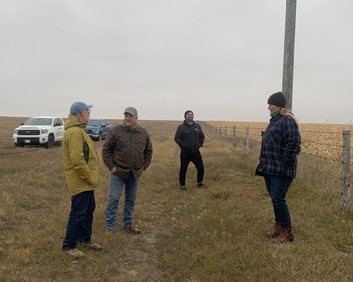 caryhamel's tweet photo. Cattle prepping an @NCC_CNC prairie restoration site in advance of spring planting
✅ locally-sourced seed
✅ local jobs
✅ carbon sequestration 
✅ endangered species recovery
✅ increased pasture 
✅ climate change adaptation
#restoration #biodiversity #ag https://t.co/VvrvOi578d