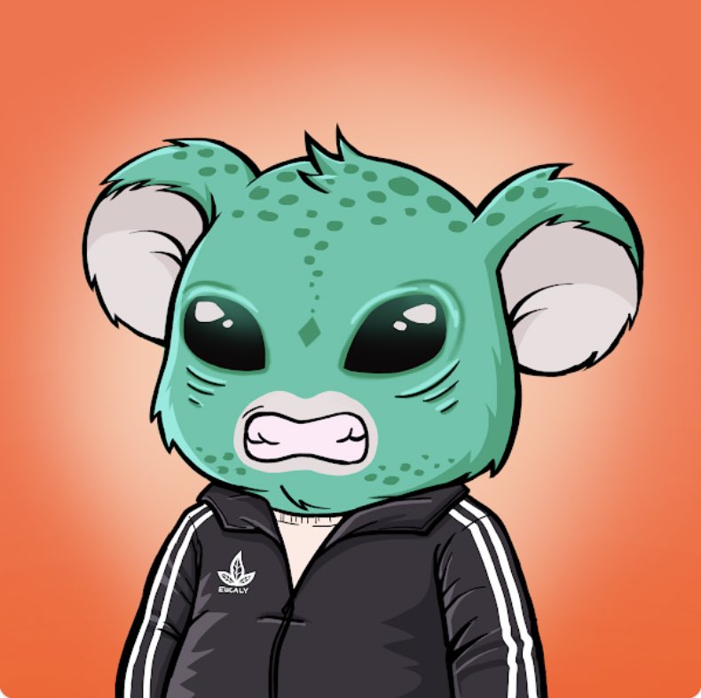 Alienkoalagreen's tweet photo. Just bought my first 😍@KoalaAgencyNFT https://t.co/vYNGKxDqZT
