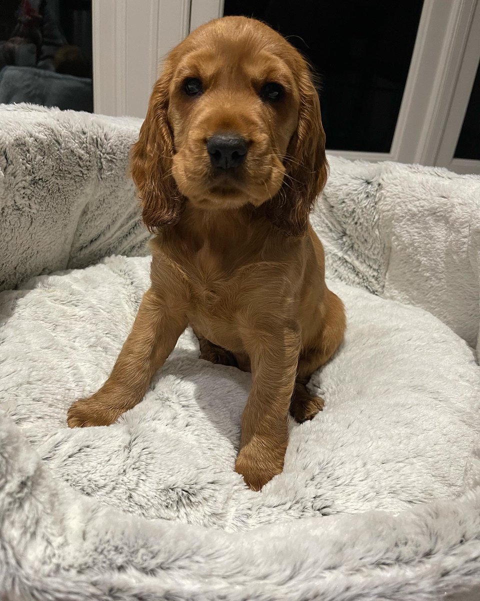 Mrs Stammers tweet media