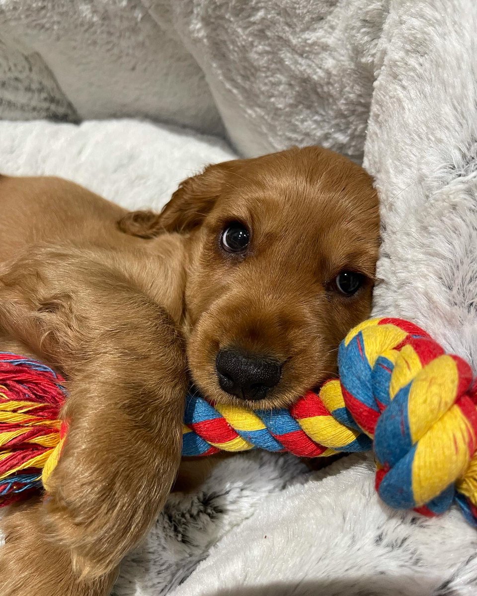 Mrs Stammers tweet media