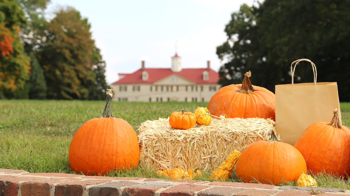 Happy #PumpkinDay! 🎃