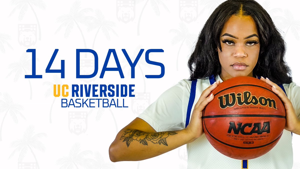 UCR_WBB's tweet photo. Mark your calendars! The countdown is on… 2 weeks until the Highlanders home opener November 9th!
#OnePercent
#GoHighlanders 🏀 https://t.co/QTE6EaNbCI