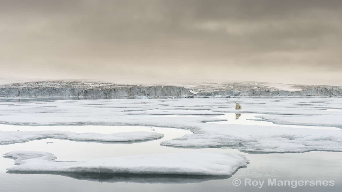 EarthProj2050's tweet photo. The people's verdict on Gallery 2 of the COP26 nature photography countdown is in - these are the images https://t.co/CqDyr3vI6P
#NaturePhotography #conservation #COP26 #ForNature @UNBiodiversity @IUCN @nature_org @WWF @IPBES @UNEP @COP26 @WWTworldwide https://t.co/d14ysH3E6W