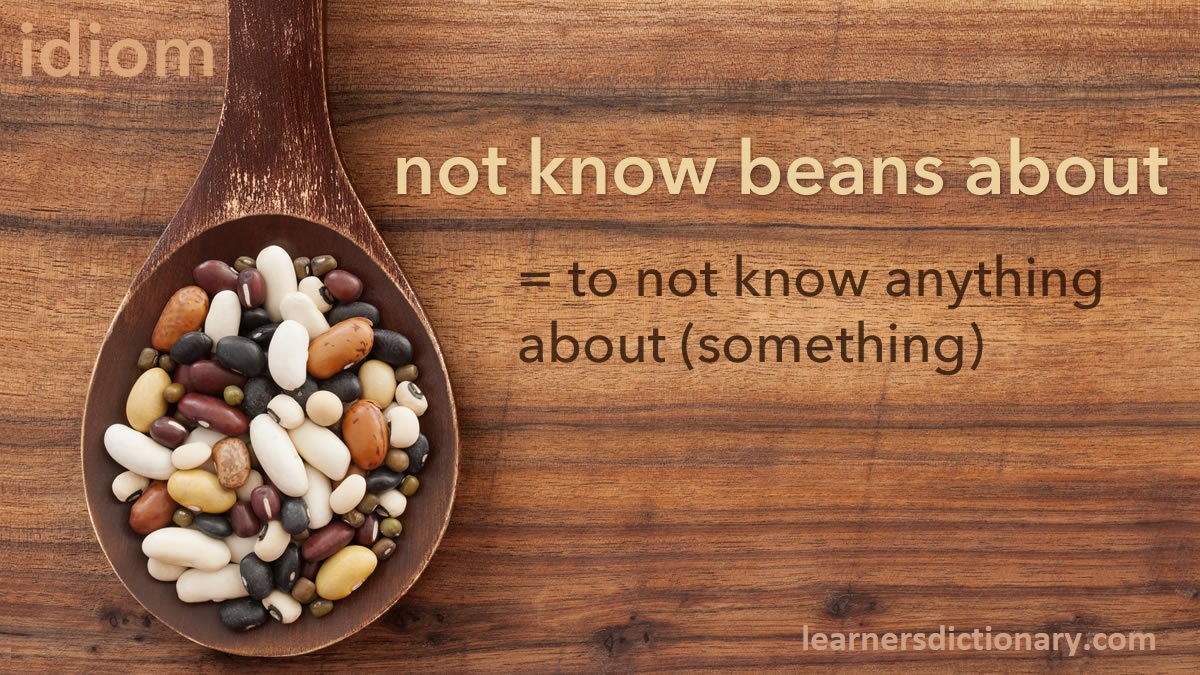 EBDictionary's tweet photo. Idiom: not know beans about 

= to not know anything about (something)

He doesn't know beans about politics. 

https://t.co/e2ChqxvsQL 
#ESL #EFL #ELL #TESOL #TEFL #Idioms #LearnEnglish https://t.co/QeEKmbgjxX