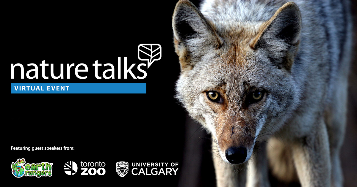 The season of fright is here, &amp; all around us are images of commonly feared animals — bats, the howling lone wolf, but just how scary are they? Join us tomorrow as we separate fact from fiction &amp; navigate the power of peoples’ perception. Sign up here: bit.ly/3jYNot1