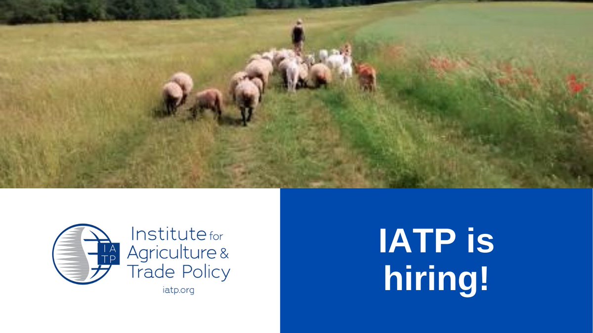 IATP is hiring a Finance &amp; Operations Director based in Minneapolis! We're looking for a mission-oriented, strategic leader with experience managing finance &amp; operations at a nonprofit organization. Does the description fit? Join the IATP family! 
bit.ly/3EgWpVQ