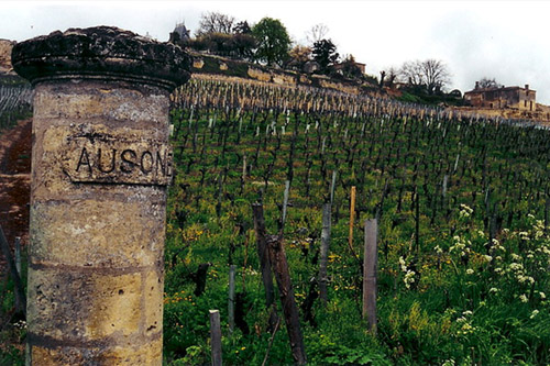 superworldapp's tweet photo. We are proud to partner with #OnChainWine🍷!

Raise your glass + get in on our #NFTGiveaway!

➡️Follow @superworldapp + @onchainwine
➡️Like / Share
➡️Tag 2

WINNER 🏆 receives:
🍷1 bottle of Onchain #Wine🍇
🌎1 plot of #NFT land in #SuperWorld 🌎❤️
🤦‍♂️0 hangover

#Giveaway #NFTs https://t.co/9aHG7qmXnZ