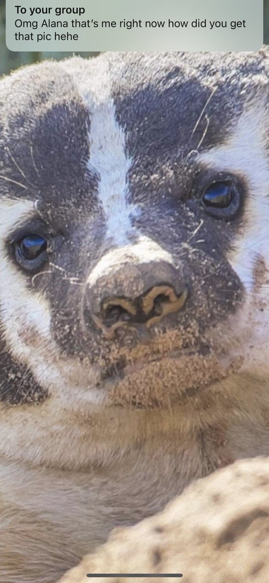 yo , you - mon get tickets to this big sexy gig! Available digitally or if yer a local we’ve got physicals tickets we can drop ye off x 

classylassy.bigcartel.com/product/save-o…