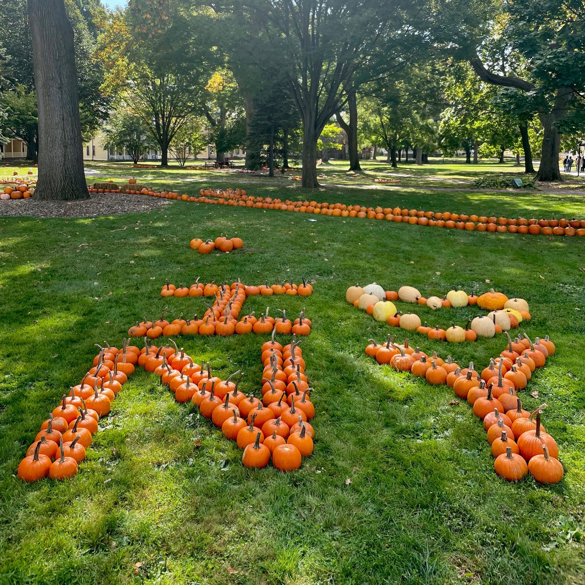 Gov_Island's tweet photo. THANK YOU to everyone who joined us for the first weekend of #PumpkinPoint! So many smiling (and costumed) faces joined us that we sold out of pumpkins for the 1st time ever. We're getting ready for this weekend with a full pumpkin restock, so be sure to join us on 10/30 & 10/31 https://t.co/Wye9fp1DUt
