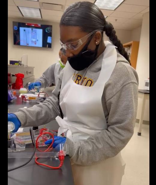 Building STEPS (@buildingsteps) on Twitter photo Identifying shark DNA at <a href="/tuSTEMcenter/">tuSTEMcenter</a> exposes our students to careers in bioscience. We help to cultivate an interest in #stem and stem careers through monthly progamming. Grateful for these partnerships! Learn more>buildingsteps.org
#collegeaccess #wesupportbsteps Identifying shark DNA at <a href="/tuSTEMcenter/">tuSTEMcenter</a> exposes our students to careers in bioscience. We help to cultivate an interest in #stem and stem careers through monthly progamming. Grateful for these partnerships! Learn more>buildingsteps.org
#collegeaccess #wesupportbsteps