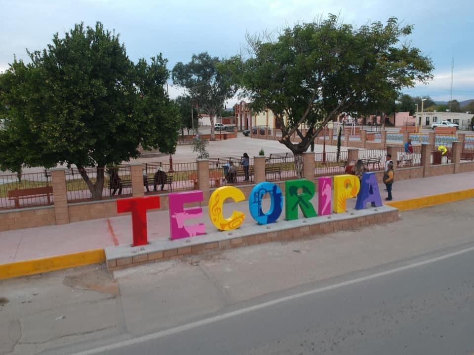 marcos_platt's tweet image. Continuamos los trabajos de coordinación con el gobierno estatal. Esta ocasión me reuní con @GradillasPineda, subcoordinador general de operación de la Comisión de Fomento al Turismo. 

La visita de turistas impacta positivamente en la economía de nuestra gente. 
 #TurismoRural