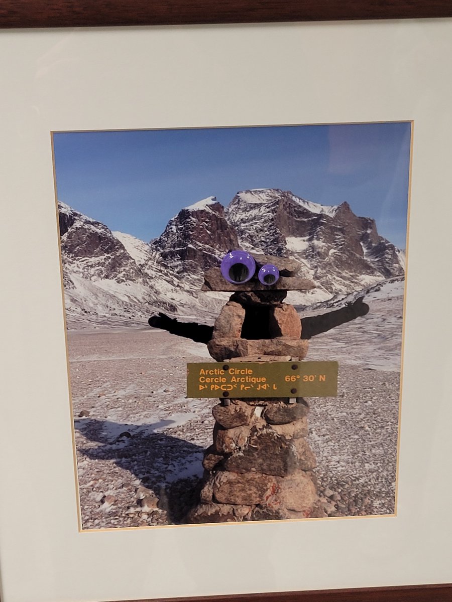 KParsons27's tweet photo. #GCRD6356092 #eyebombing https://t.co/PbR9flsXSa
