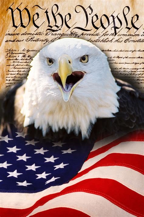 dee_shand2's tweet photo. @ezrocks0011 👍🇺🇸 https://t.co/bnw96jzrKs