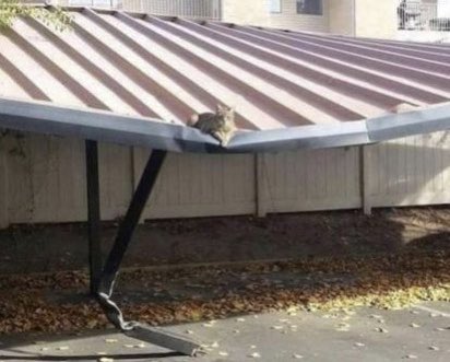 Correlation is not causation
#vaccini