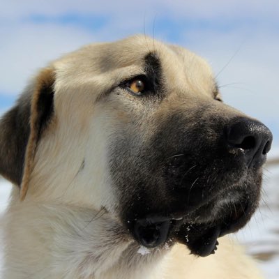 S25Kane's tweet photo. #NewProfilePic https://t.co/jg7QblpM1I