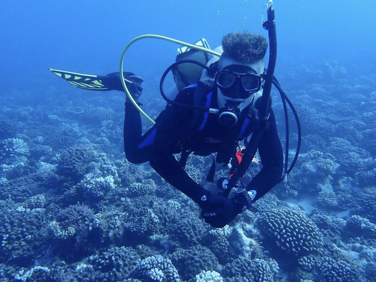 #TalkNerdyToMe #Coralreefs #OSU
<a href="/AVompe/">Alex Vompe</a>  investigates coral resilience to local and global stressors in Mo'orea, French Polynesia. Alex uses 16S sequencing to better understand the effect of stressors on the microbial ecology of these Coral reefs.   follow-researchgate.net/profile/Alex-V…