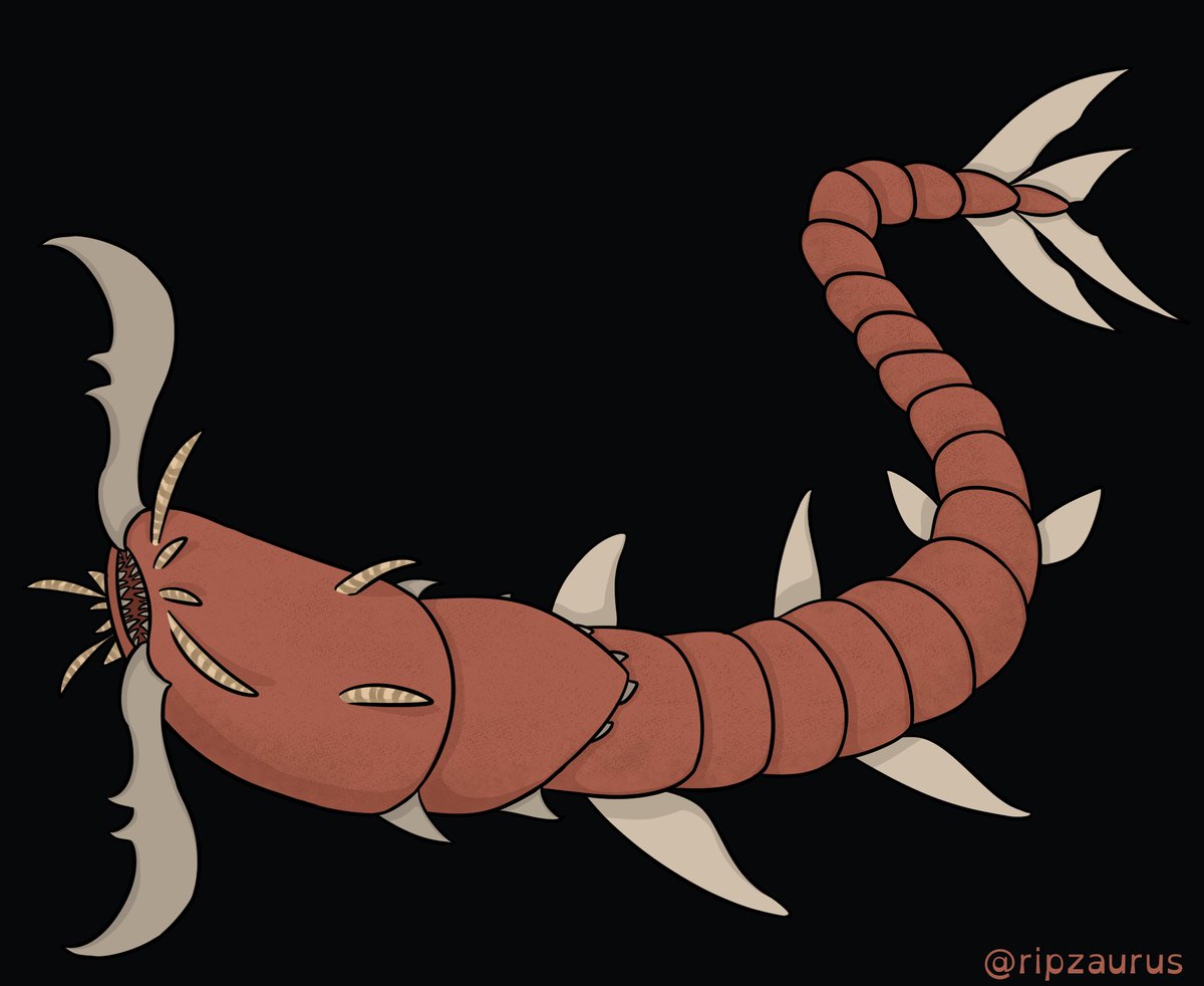 Ripzaurus's tweet photo. Cryptober Day 26.
Ogopogo & Mongolian Death Worm.
#Cryptober2021 #cryptids #clipstudiopaint #digitalart #artchallenge #halloween #ogopogo #mongoliandeathworm #bobbitworm https://t.co/1x42uQvz1w