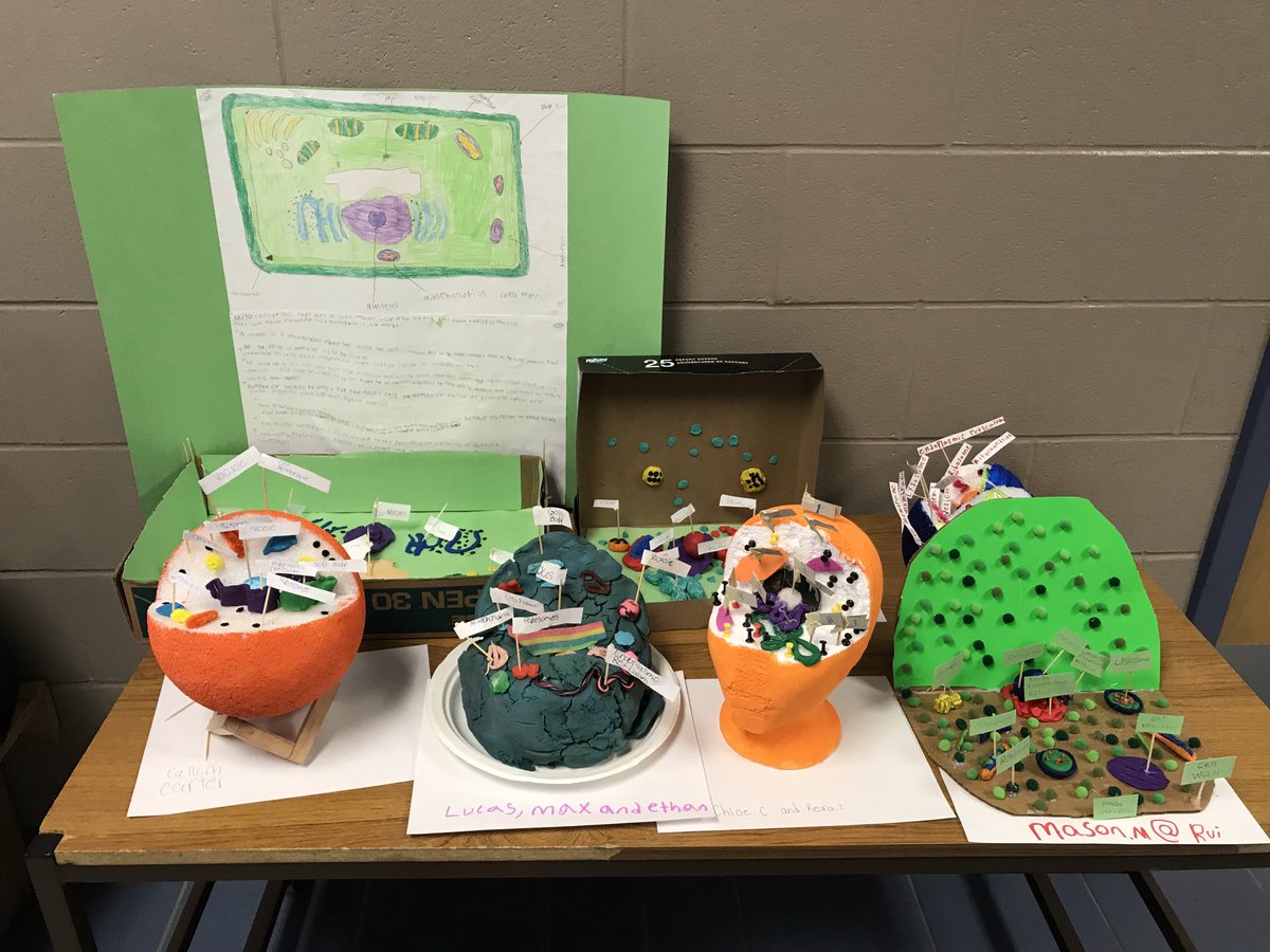 OurLourdes's tweet photo. Mr. Chiras’ class has been learning about plant and animal cells and came up with some incredible models!  Great work boys and girls. https://t.co/kSDOJtMBnE