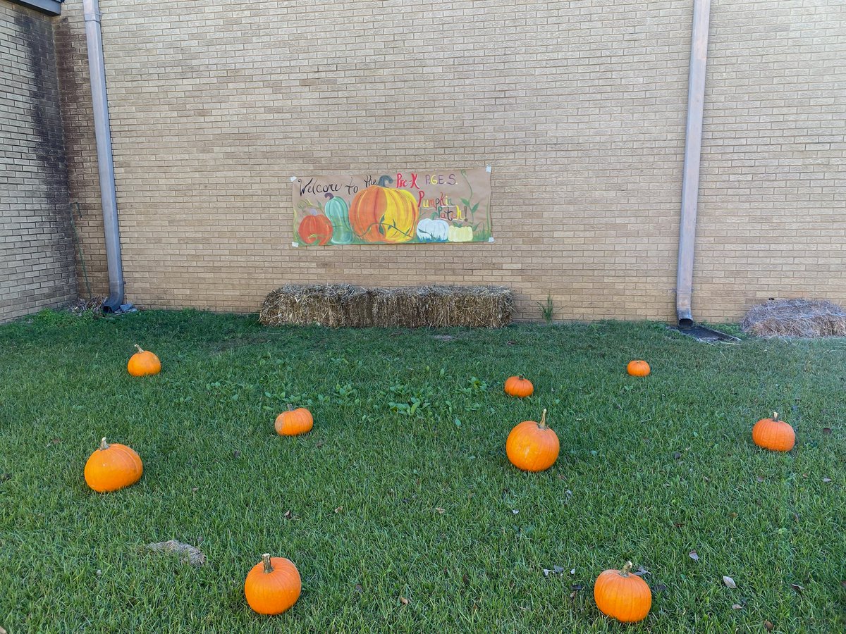 dmenefee18's tweet photo. PreK Pumpkin was the best! Thanks to Pleasant Grove Hills Foodland for donating the pumpkins for our students. @pleasantgrovees @AndieSpradling https://t.co/Wqn1rEeej7
