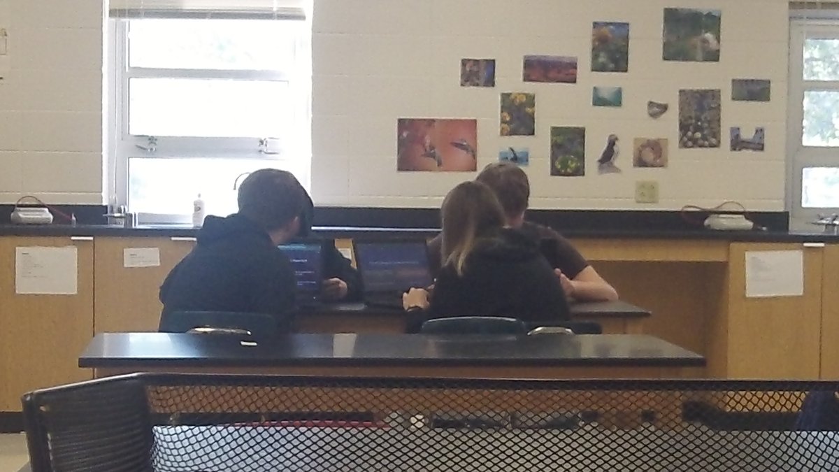 ReedsSpringHS's tweet photo. Ms. Wilson's Biology class is reviewing DNA Structure and history. #TheoryTuesday #WolvesAtWork #AcademicExcellence #HighClassScience #ONEwiththePACK https://t.co/aPmyLUR75h