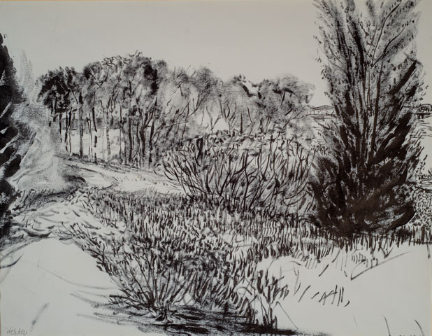 249AStreet's tweet photo. Now in our gallery
Dorothy Hebden Heath: Trees
Reception October 30, 6-8pm
https://t.co/88bbaa4b4S https://t.co/HEoLpDY6Jo