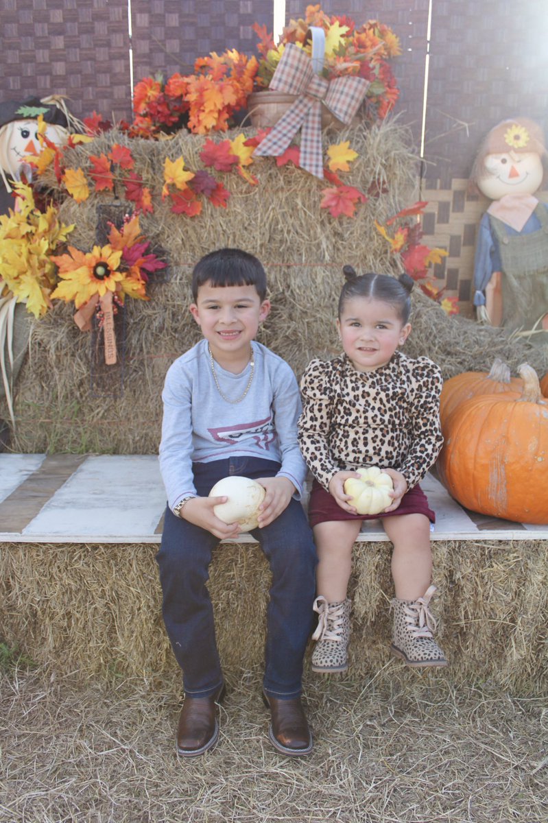 Cutest pumpkins at the pumpkin patch 🧡