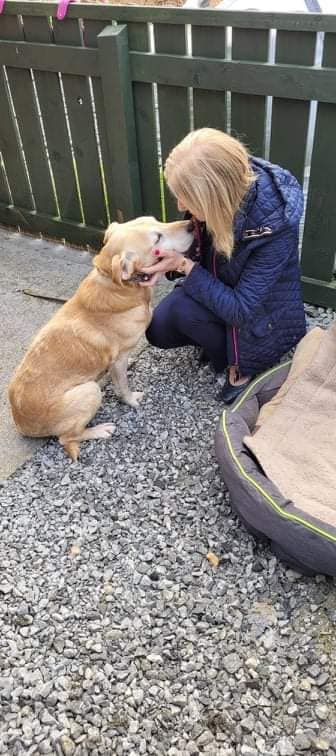 GalwaySPCA's tweet photo. If you have had a bad day seeing Ozzie will bring a smile🥰

Ozzie was surrendered, age 15, last week &amp; Siobhán had just lost her companion, Leon.

It was like a meeting of two lost, lonely souls as Siobhan bent down to cradled Ozzies face.

4 days later &amp; Ozzie has been adopted! https://t.co/aFeYNcA84G