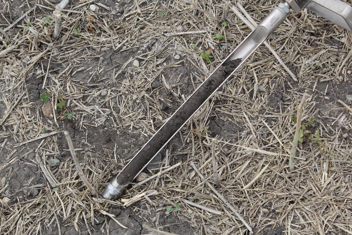 SKAgriculture's tweet image. #SaskAg, wondering about nutrients after this dry year? The only way to know for sure is to soil test after temperatures cool off. Learn more here: saskatchewan.ca/business/agric…